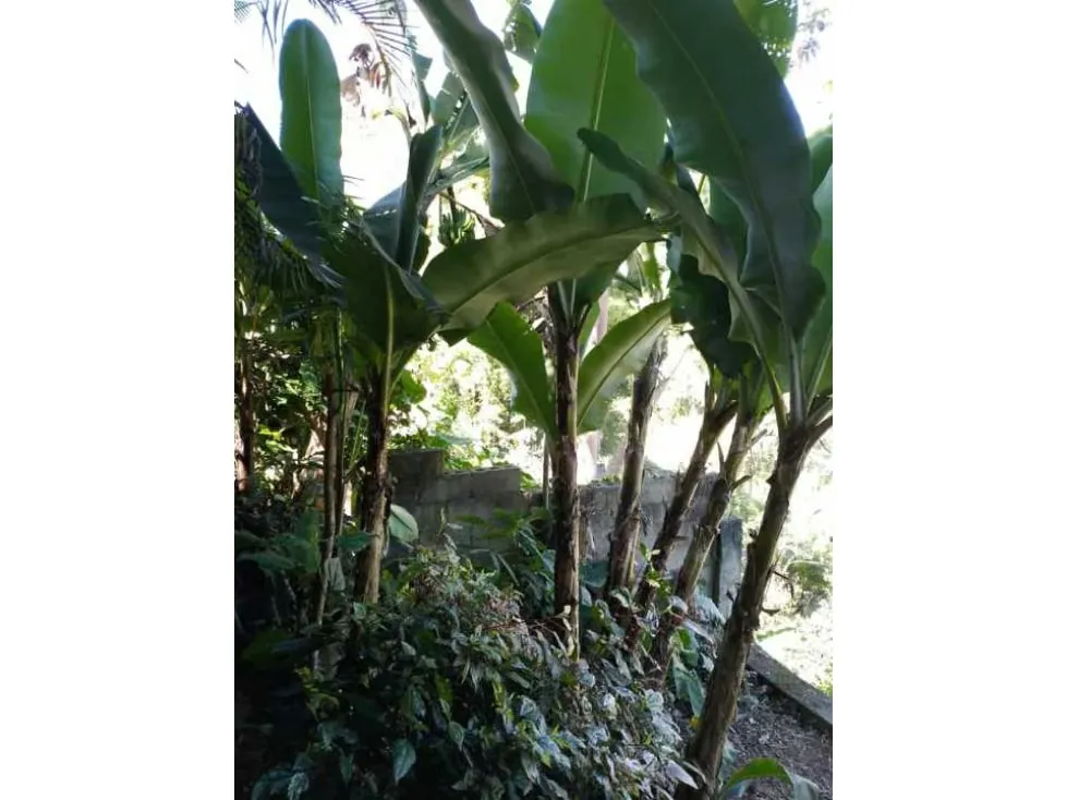 Vendo casa 305m2 El Hatillo 9969 - 14