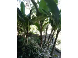 View 14