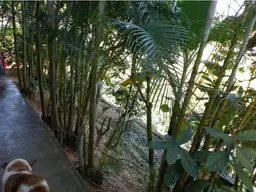 View 15