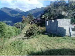 Vista 5