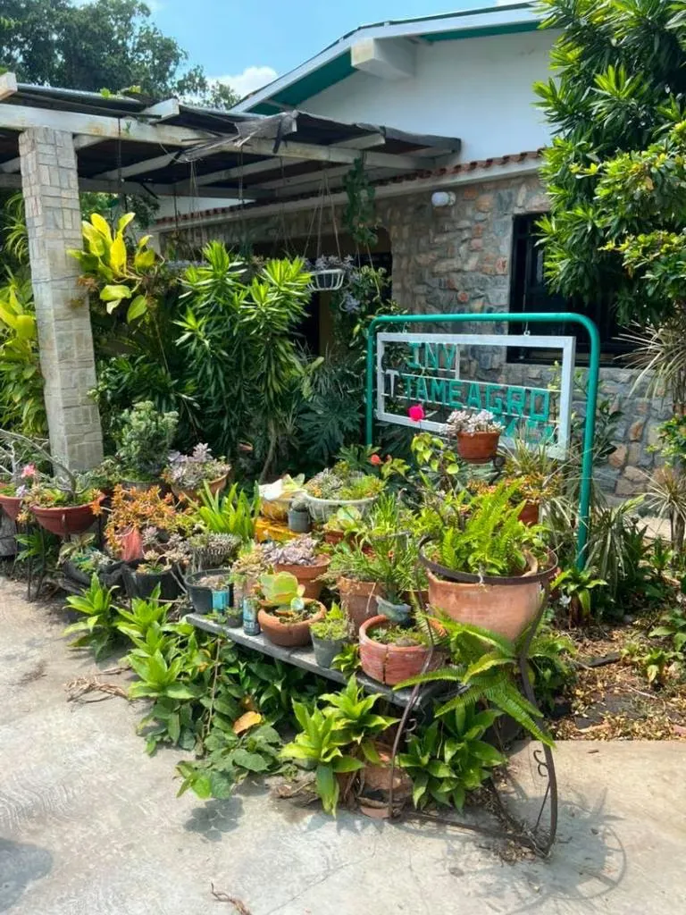 Venta de Galpon Agroindustrial - 2