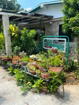 View 2
