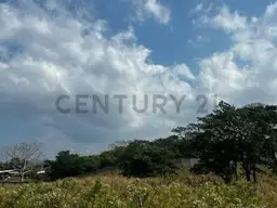 Vista 1
