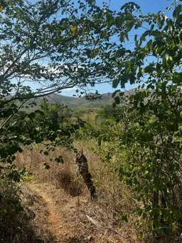 View 11