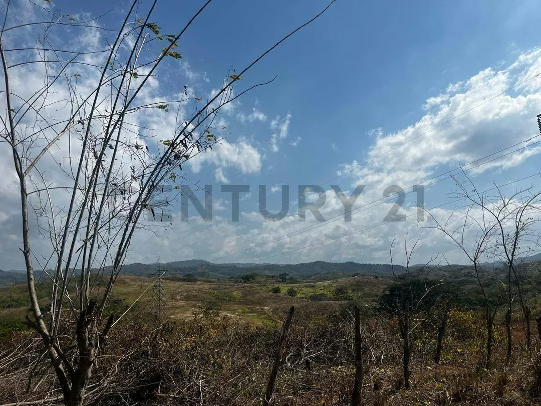 FINCA GANADERA EN VENTA - 12