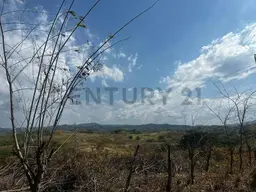 View 12