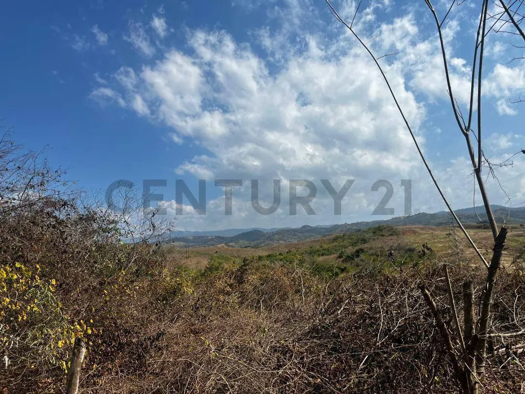 FINCA GANADERA EN VENTA - 13
