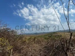 View 13