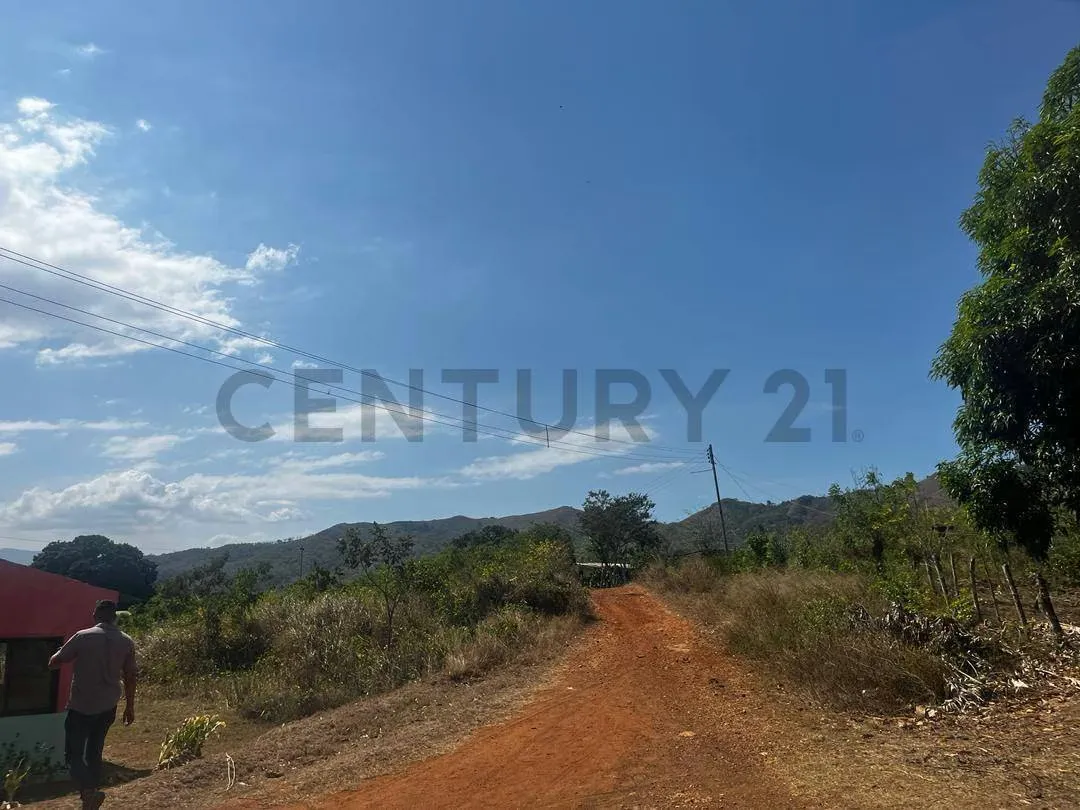 FINCA GANADERA EN VENTA - 15