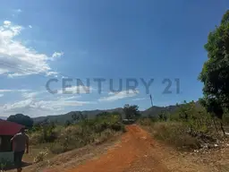 View 15