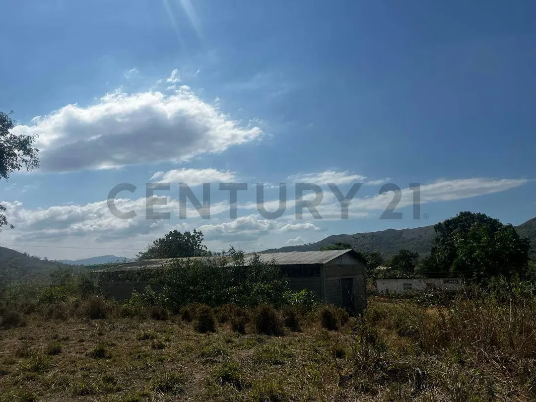 FINCA GANADERA EN VENTA - 16