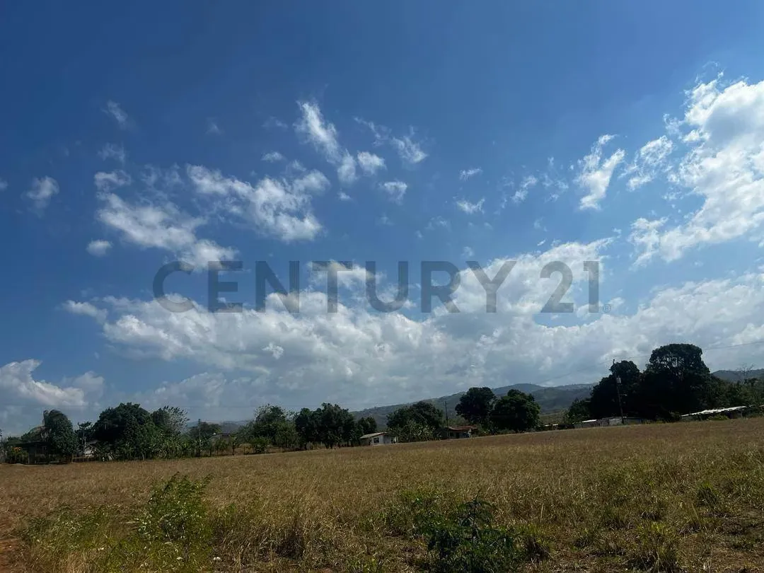 FINCA GANADERA EN VENTA - 17