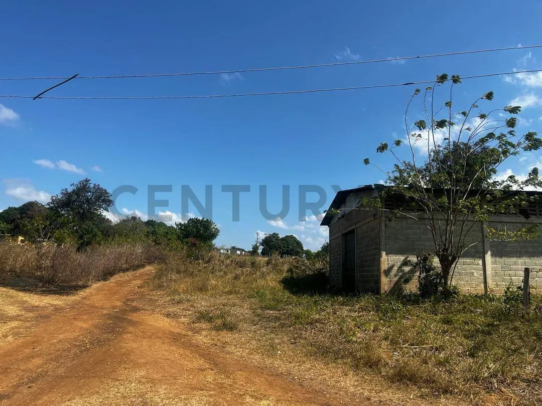 FINCA GANADERA EN VENTA - 19