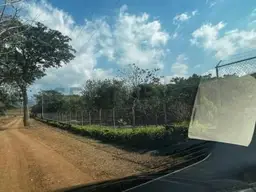 Vista 4