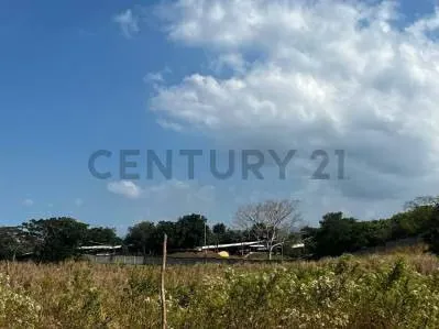 FINCA GANADERA EN VENTA - 7