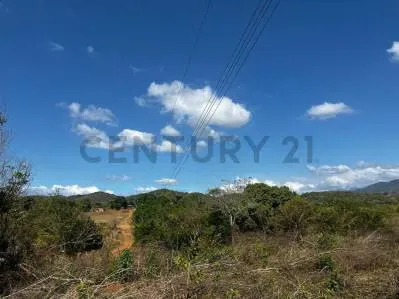 FINCA GANADERA EN VENTA - 9