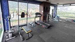 Vista 25
