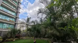 Vista 31