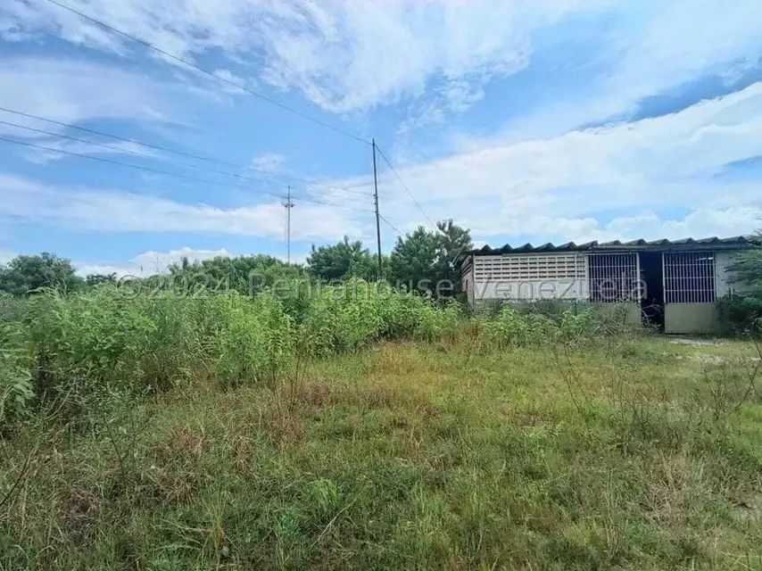 Galpon - Deposito en Venta en Zona Industrial, Carabobo - 50