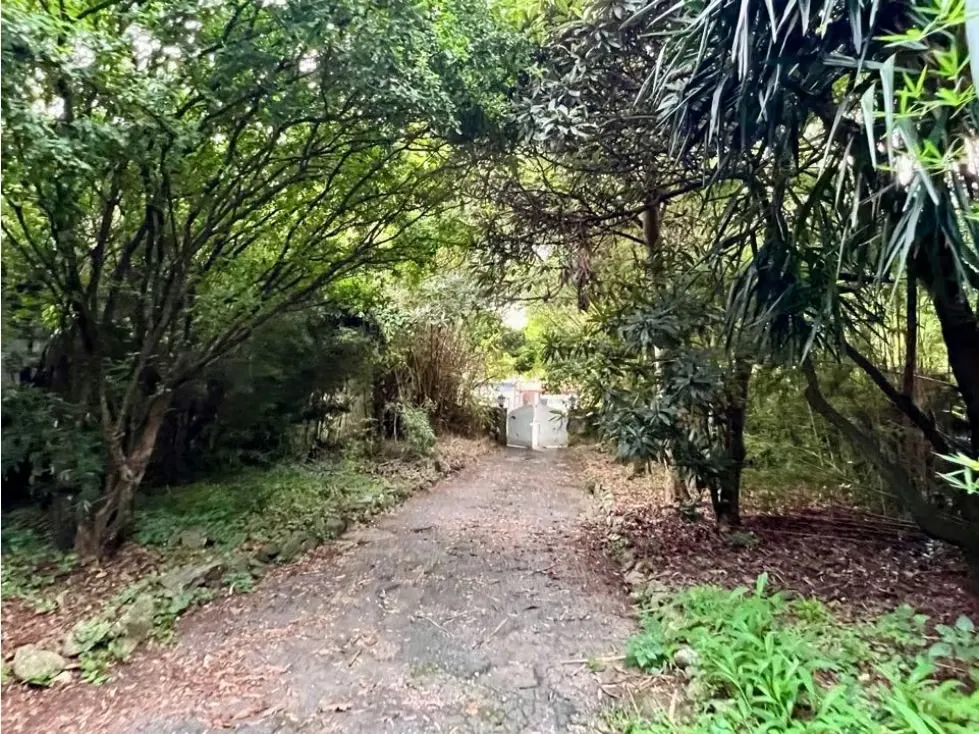 Terreno en Venta en Los Palos Grandes, Chacao - Caracas - 2