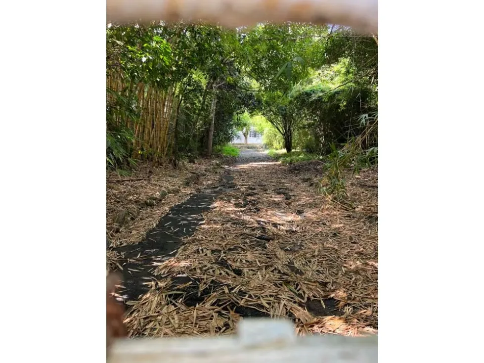 Terreno en Venta en Los Palos Grandes, Chacao - Caracas - 6