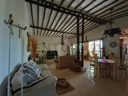 Vista 14