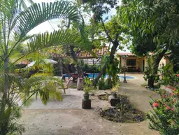 Vista 26