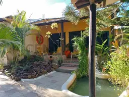 Vista 6