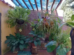 Vista 9