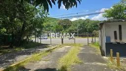 View 8
