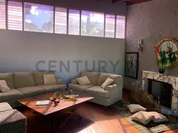 Vista 4