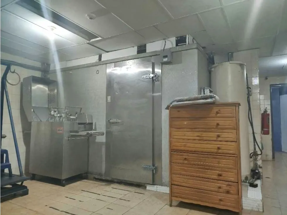 Fondo de Comercio en los Palos Grandes, Frigorífico, Canon $300 - 14