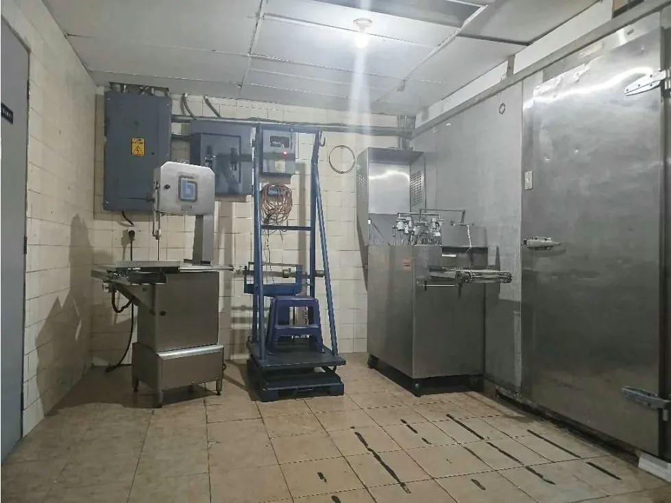 Fondo de Comercio en los Palos Grandes, Frigorífico, Canon $300 - 19
