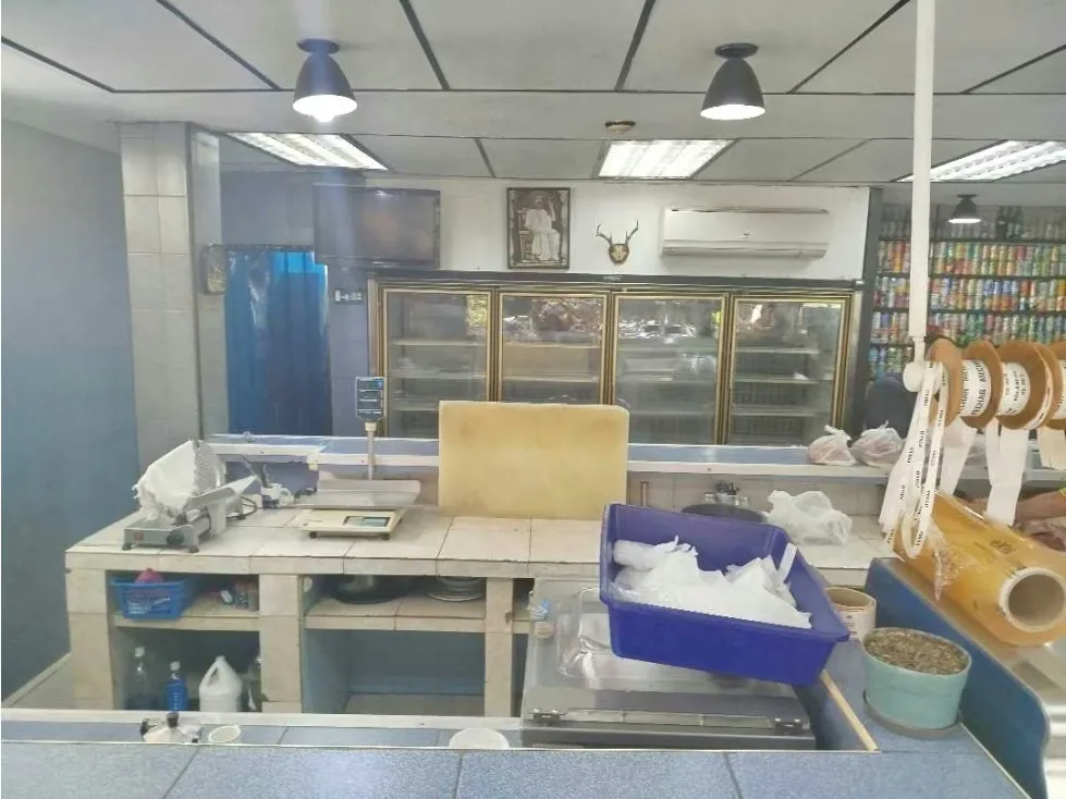 Fondo de Comercio en los Palos Grandes, Frigorífico, Canon $300 - 7