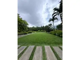 View 14