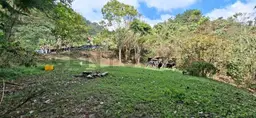 View 1