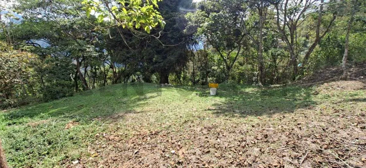 Terreno en venta en la Colonia Tovar - 4