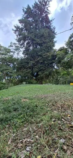 View 5