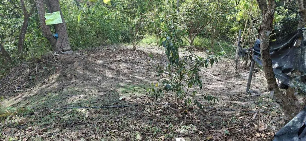 Terreno en venta en la Colonia Tovar - 7