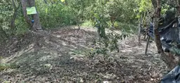 View 7