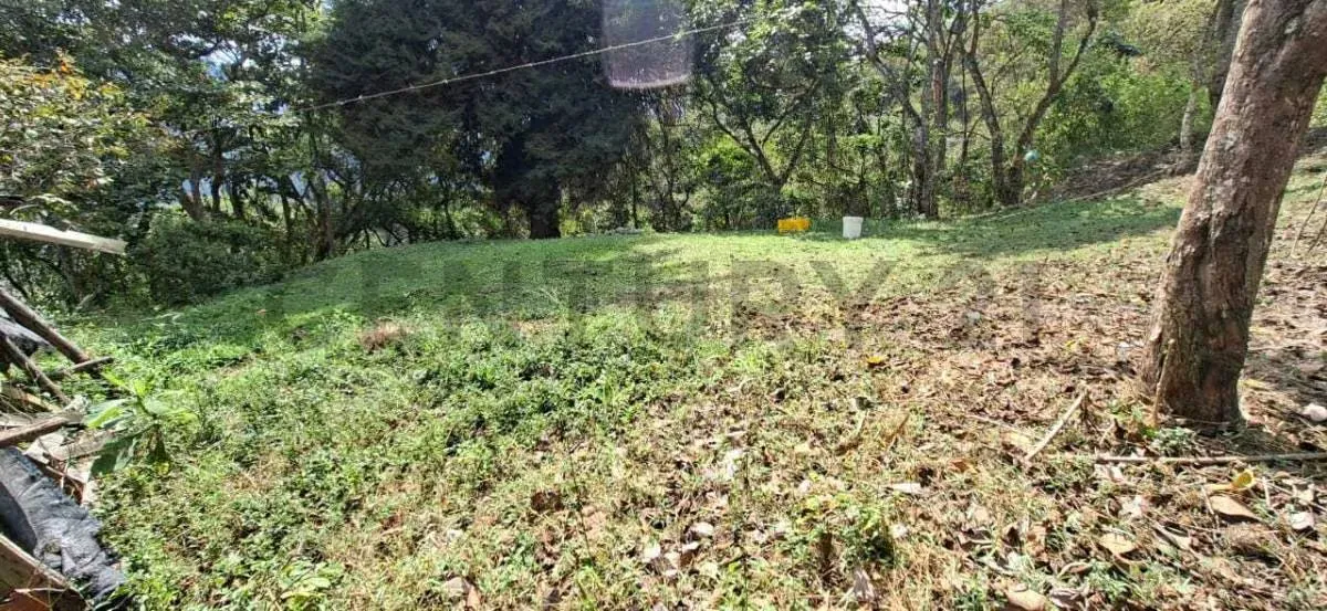 Terreno en venta en la Colonia Tovar - 8