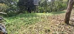 View 8