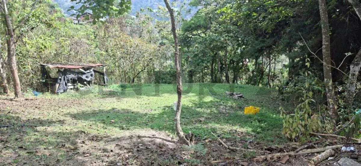 Terreno en venta en la Colonia Tovar - 9