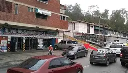 Vista 13