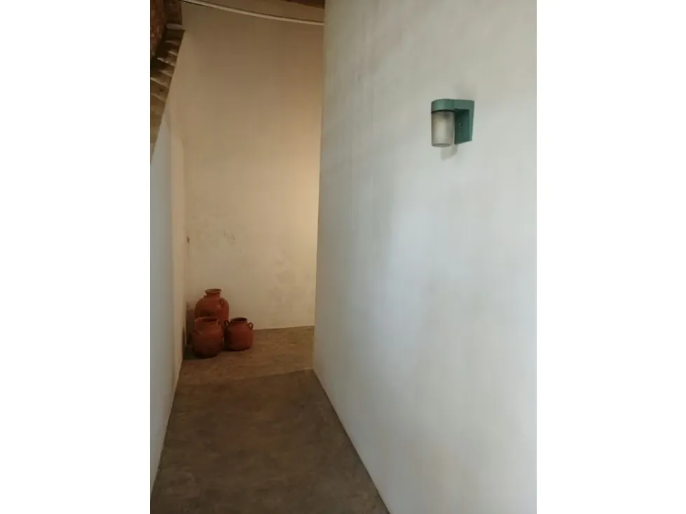 Alquilo apartamento 40m2 1h/1b/1p Oripoto 4280 - 10
