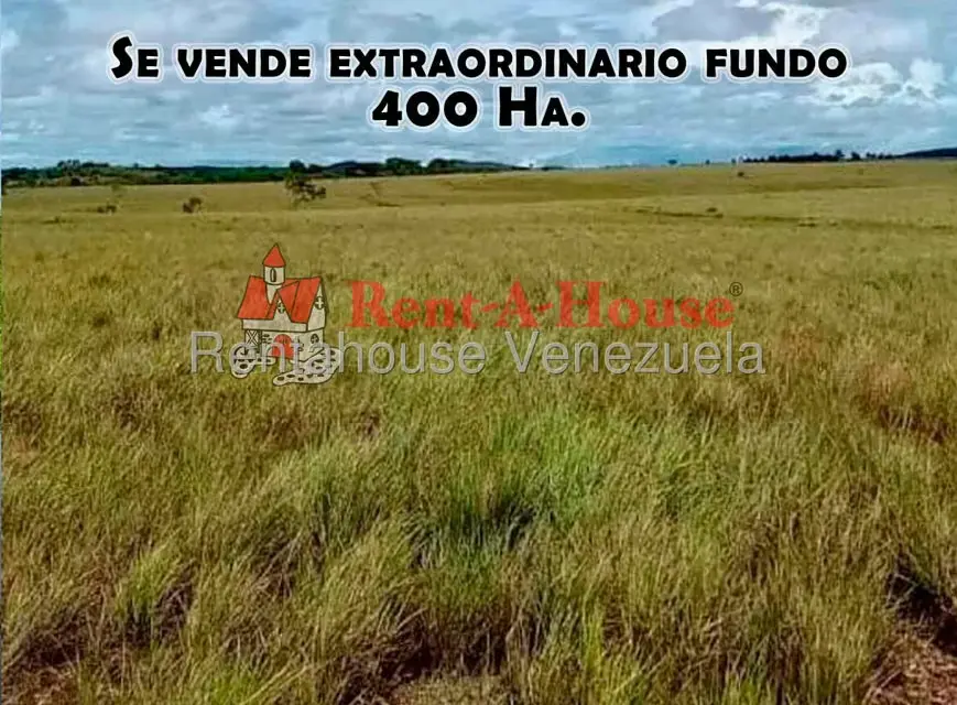 Terreno (Finca) en Venta en Sector Marhuanta, Bolivar - 2