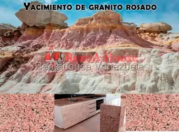 Vista 4