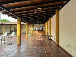 Vista 5