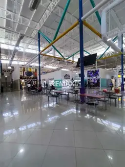Vista 6