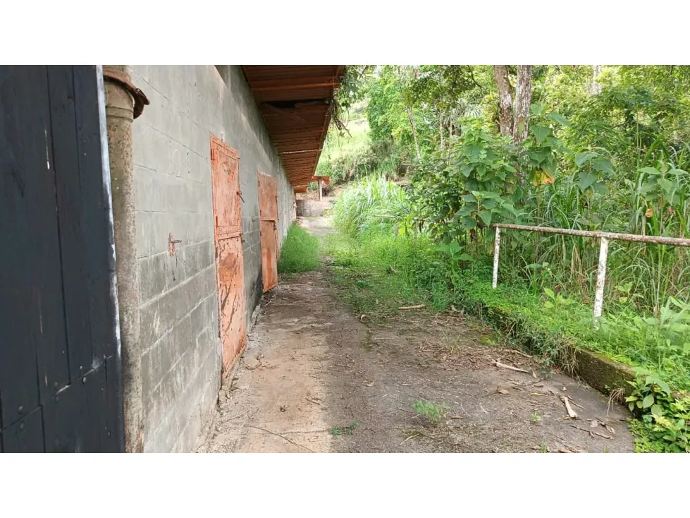 VENTA DE DOS PARCELAS EN SAN ANTONIO 2700 M2 - 3